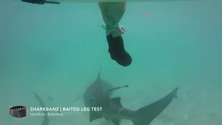 Sharkbanz Baited Leg Test Compilation - Proven Shark Deterrent