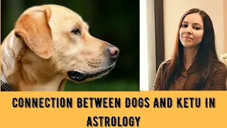 Connection Between Dogs And Ketu in Astrology! #ketu #astrology