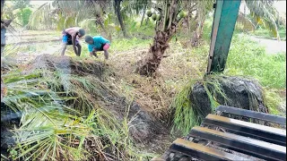 Amphibious excavator canal cleaning 👍👍 1st step