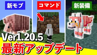 【最新1.20.5】絶対に見た方がいいマイクラアップデート情報まとめ