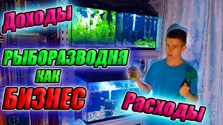 Рыборазводня как бизнес. Мои Доходы и Расходы с разводни!