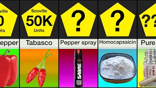 Comparison Video Maker: Spiciest Things