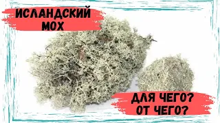 ПРИГОТОВЬТЕСЬ ДЫШАТЬ ЛЕГЧЕ: ИСЛАНДСКИЙ МОХ ДЛЯ УЛУЧШЕНИЯ ЗДОРОВЬЯ ЛЁГКИХ ПОСЛЕ COVID