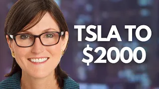 Cathie Wood JUST Sold Nvidia to Buy LOTS of TSLA (Explains Why on TV) | Analysts React To Q1