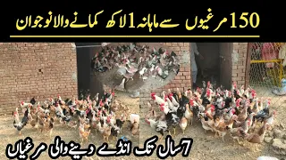 Smart Hen Farm At Home || Small Business Idea Hen Farming in Pakistan || Hen Business 2022