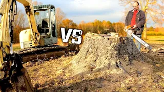 Mini Excavator VS Massive Stump.  Is It Even Possible?