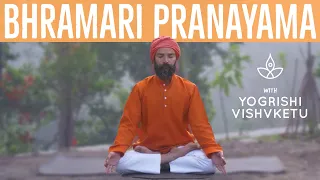 Benefits of Breathing Exercises (Bhramari Pranayama)