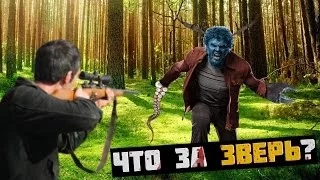 ЧТО ЗА ЗВЕРЬ?!