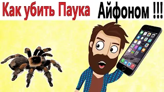 ПРИКОЛЫ! КАК УБИТЬ ПАУКА АЙФОНОМ!!! Угарные ШКОЛЬНЫЕ МЕМЫ, смешные истории от Доми шоу