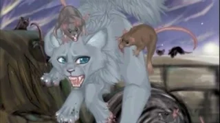 My Top 10 Underrated Warrior Cat Scenes