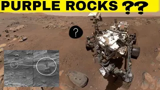 Purple Rocks found on mars 😯