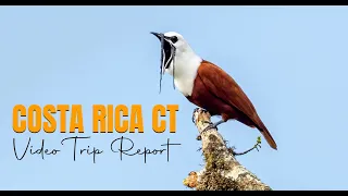 Costa Rica Birding With a Camera (BwC) Custom Tour 2023 Video Trip Report FULL