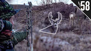 We Got a SHOT at a BIG BUCK - South Dakota Public Land Deer Hunt