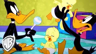 Looney Tunes en Latino | Las Clases de Bebé y Mamá | WB Kids