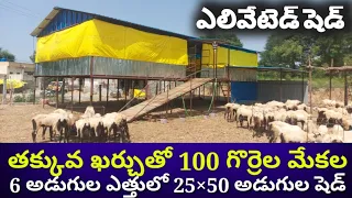 HIGH TECH SHEEP GOAT FARM LOW COST ELEVATED GOAT SHEEP SHED  తక్కువ ఖర్చుతో 100 గొర్రెల మేకల షెడ్