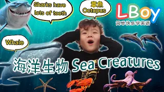 Kids vocabulary - Sea Animals | 海洋生物 | 簡單學英語 - Learn English for kids - English educational video