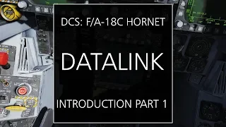 The Datalink and Situational Awareness (SA) Display of the F/A-18C Hornet - Introduction