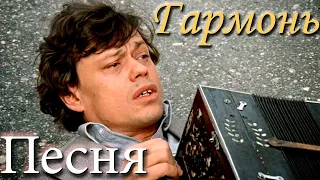 Гармонь Золотая Душа - Супер Песня