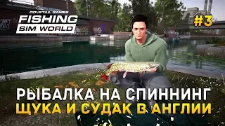 Fishing Sim World #3 - Рыбалка на Спиннинг. Щука и Судак в Англии