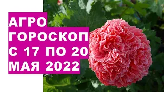 Агрогороскоп с 17 по 20 мая 2022 года