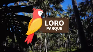 Loro Park in Tenerife, Puerto de la Cruz