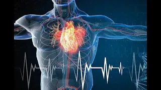 Internal Diseases Lecture 18 - Chronic Heart Failure.