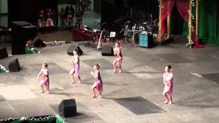 MN HNY Traditional Dance: Huab Tshiab