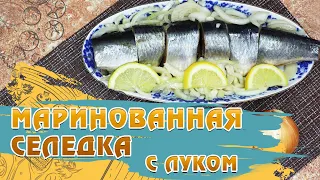 Маринованная селедка. Маринованная сельдь с луком в банке. ЛУЧШИЙ РЕЦЕПТ — Еда на Добром