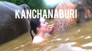 ELEPHANTS HEAVEN 🐘 KANCHANABURI