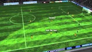 Newcastle vs Wolves - Osvaldo Goal 67 minutes