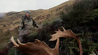 A Solid Public Land Buck