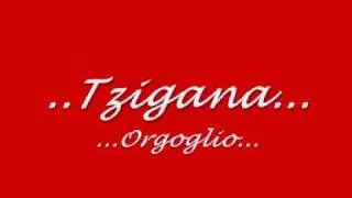 Tzigana.wmv