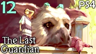 The Last Guardian Walkthrough Part 12 - Tightrope Time (PS4 Gameplay)