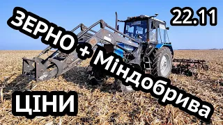 Ціни на зерно +міндобриво 22.11! З днем Працівника Сільського господарства! Пшениця+300, Сонях +450