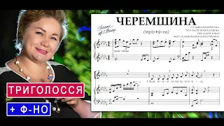 Народна пісня "Черемшина" під фортепіано