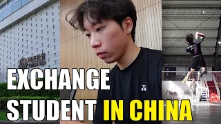 Day in the Life of an EXCHANGE Student in CHINA│TONGJI University Shanghai