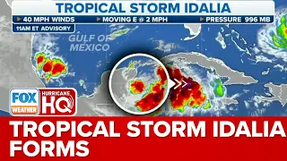 Tropical Storm Idalia Forms Near Mexico, Expected To Impact Florida's Gulf Coast
