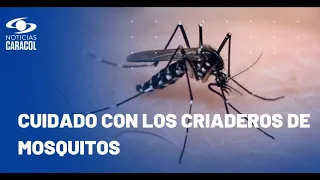 Hay alarma en Colombia por casos de dengue: se han registrado más de 50.000