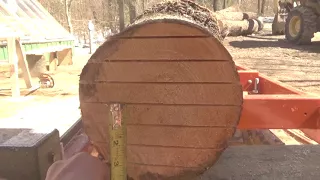 How to cut the right size board every time on the Woodmizer LT15.