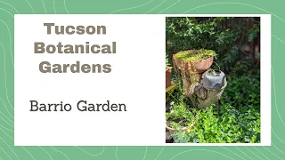 Tucson Botanical Gardens: Barrio Garden Tour