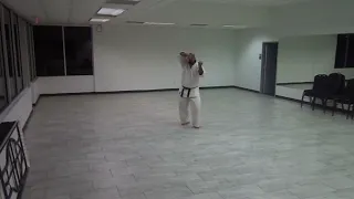 T.N.T. Ryu no Tate jutsu Seipai Kata.
