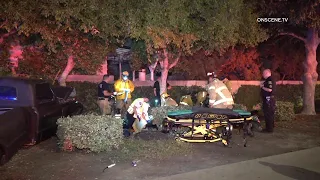 Two Women Critically Struck by Car | Anaheim