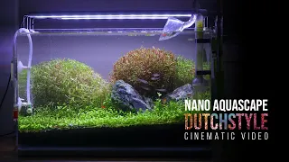 Nano Dutchstyle Aquascape - 2 Month Old Aquascape Dutchstyle by aquaNano