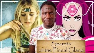 The Secrets of the Pineal Gland: Opening the Third Eye