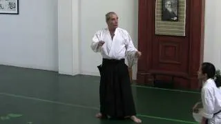 Moonsensei: Aikido Happens Here: Part I