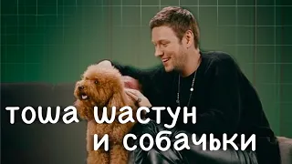 Антон Шастун любит собак (а собаки любят его)