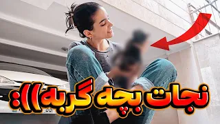 ولاگ نجات بچه گربه ی تنها!!😓😓 | ولاگ حمام کردن | گربه گربه😍 | I got a kitten vlog