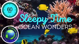 Wonder World Sensory - SLEEPY TIME OCEAN WONDERS  music to help baby sleep. #baby