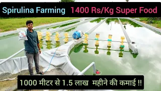 Spirulina Farming || 1400 Rs/ Kg Super Food || 1000 मीटर से 1.5 लाख महीने की कमाई || Hello Kisaan