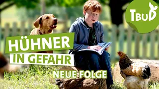 Killerhund (Folge 125) | Tiere bis unters Dach | SWR Plus